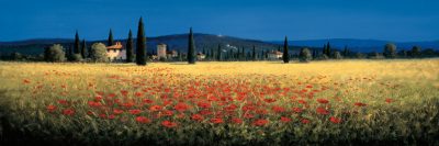Tuscan Panorama – Poppies