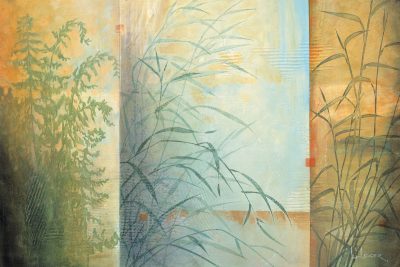 Ferns & Grasses