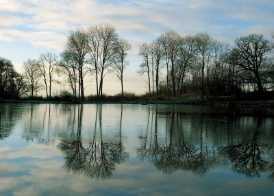 Frozen Reflections