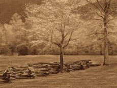 Smokies Fence