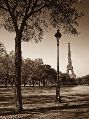 An Afternoon Stroll- Paris I