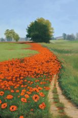 Poppy Field