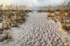 Path to the Beach