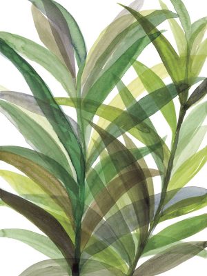 Tropical Greens II