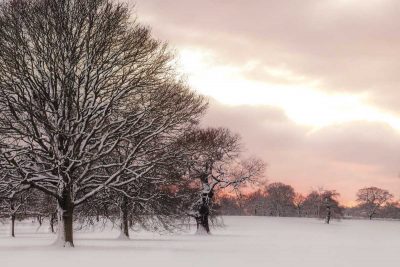 Rosy Sunset