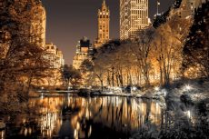 Central Park Glow