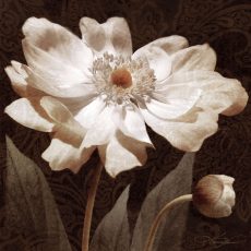 Paisley Blossom I
