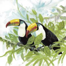 Toucans