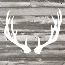 Antler Art I