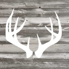 Antler Art II