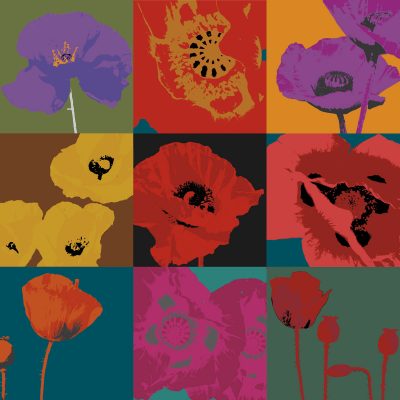 Pop Poppies