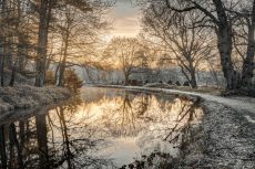 Frosty Morning