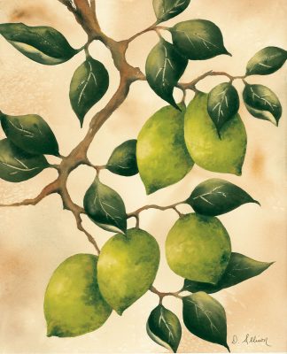 Italian Harvest – Limes