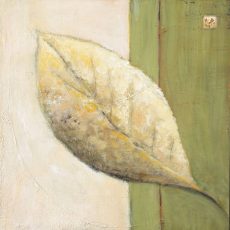 Leaf Impression – Olive