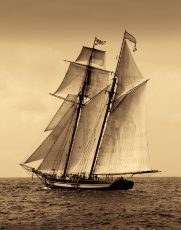 Under Sail II