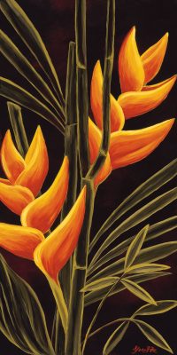 Heliconia