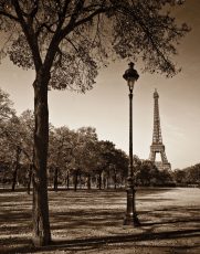 An Afternoon Stroll-Paris I