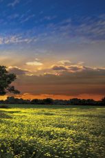 Shadows at Sunset III