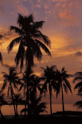 Tropical Sunsets C