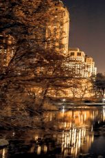 Central Park Glow