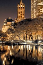 Central Park Glow