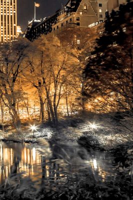 Central Park Glow