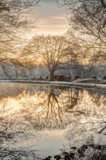 Frosty Morning