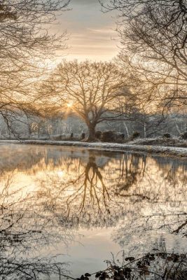 Frosty Morning