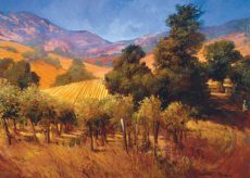 Southern Vineyard Hills