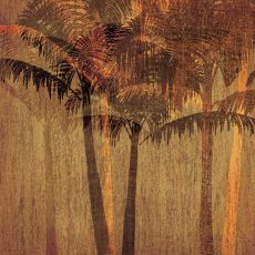 Sunset Palms II