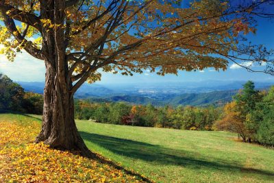 Blue Ridge Beauty