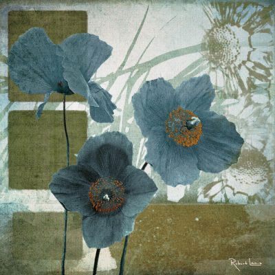 Cerulean Poppies I