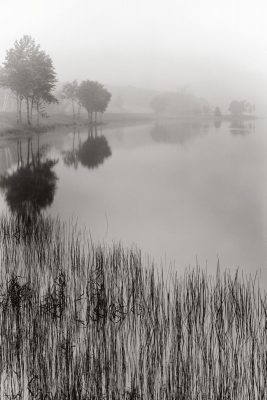 Lakeside Mist