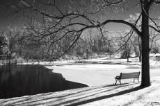 Heritage Pond in Winter