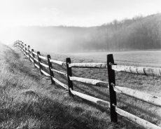 Vanishing Fence