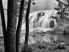 Bond Falls & Trees