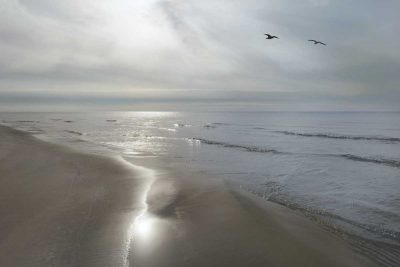 Beach Flight