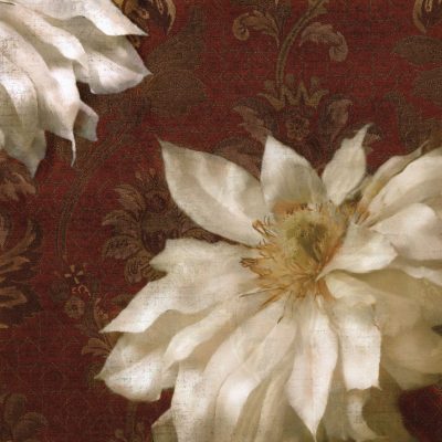 Royal Clematis II