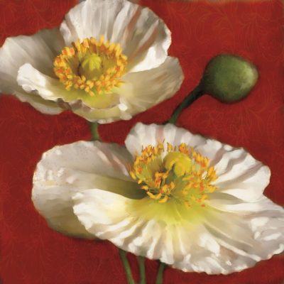 Poppy Elegance I