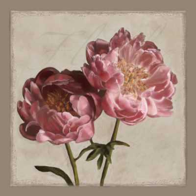 Botanical Peony