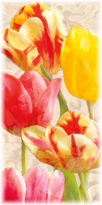 Glowing Tulips I