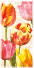 Glowing Tulips II