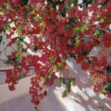 Hanging Flowers