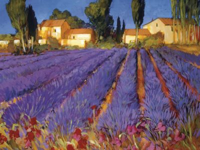 Late Afternoon, Lavender Fields