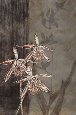 Orchid Sketch II