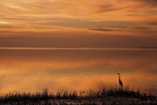 Crystal Beach Sunset