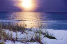 Pensacola Moonrise