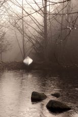 Silvered Morning Pond