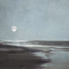 Moonlit Beach