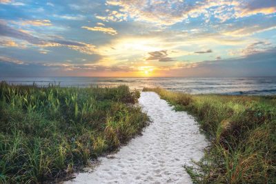 Morning Trail